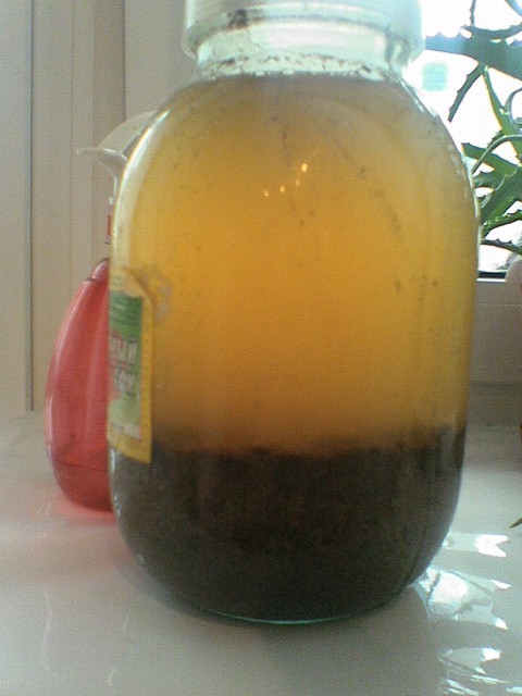 Fermenting Kvass.